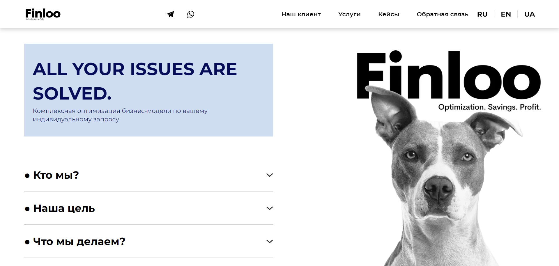 Finloo – отзывы, обзор консалтингового агентства